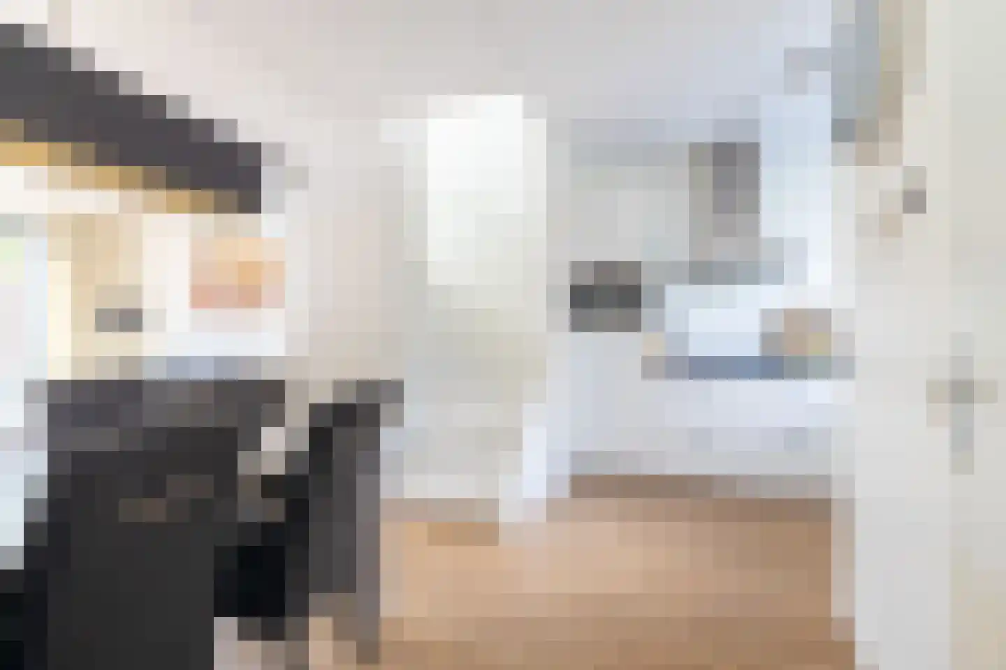 Renes 36 Scherpenzeel thumbnail 19