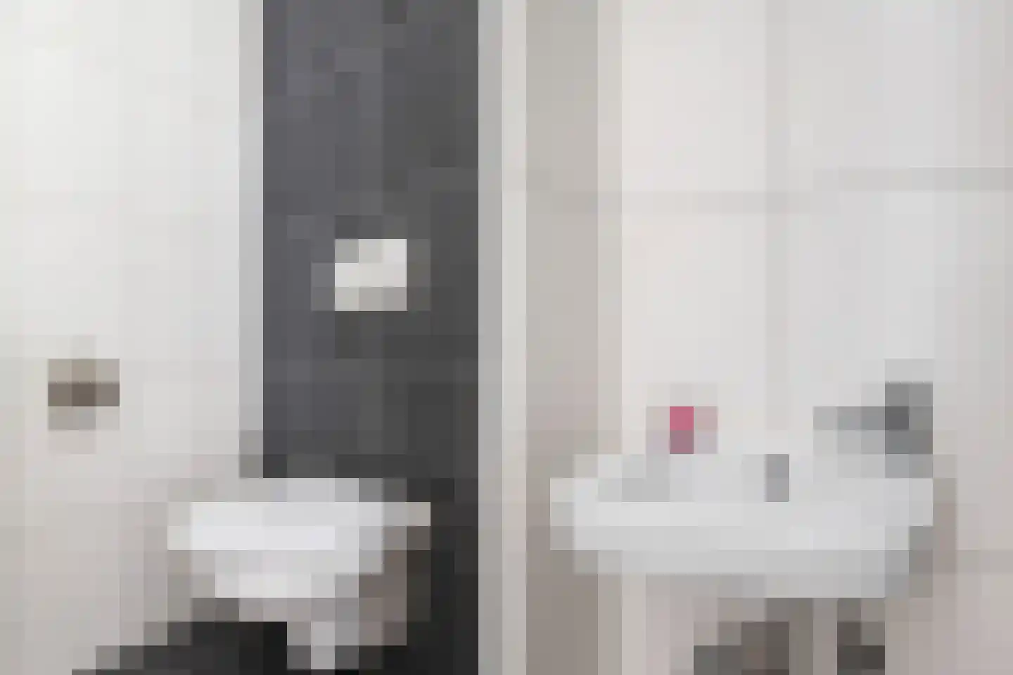 Renes 36 Scherpenzeel thumbnail 20