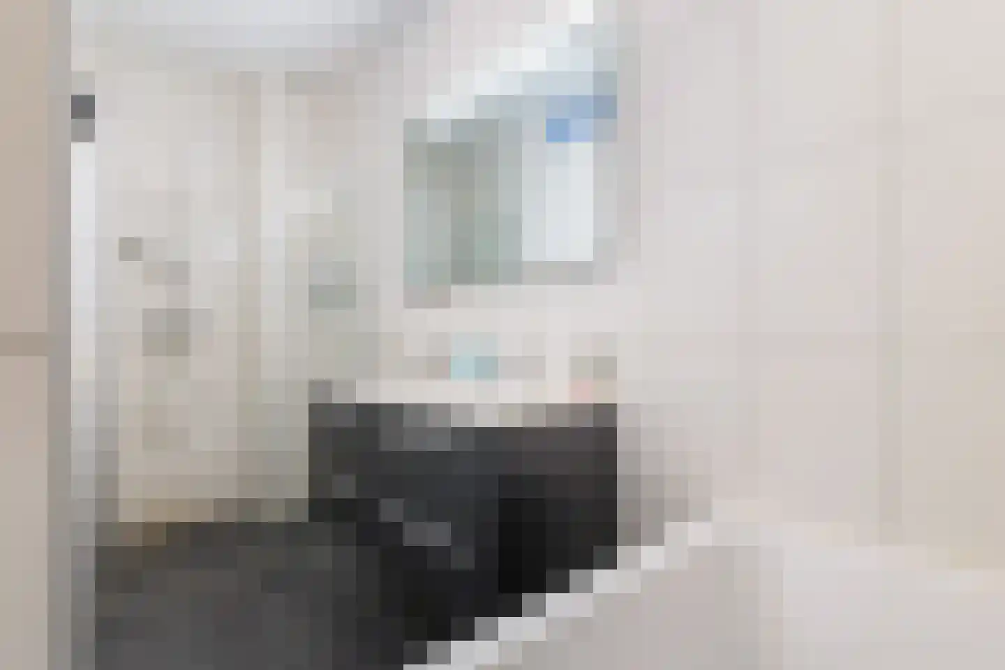 Renes 36 Scherpenzeel thumbnail 25