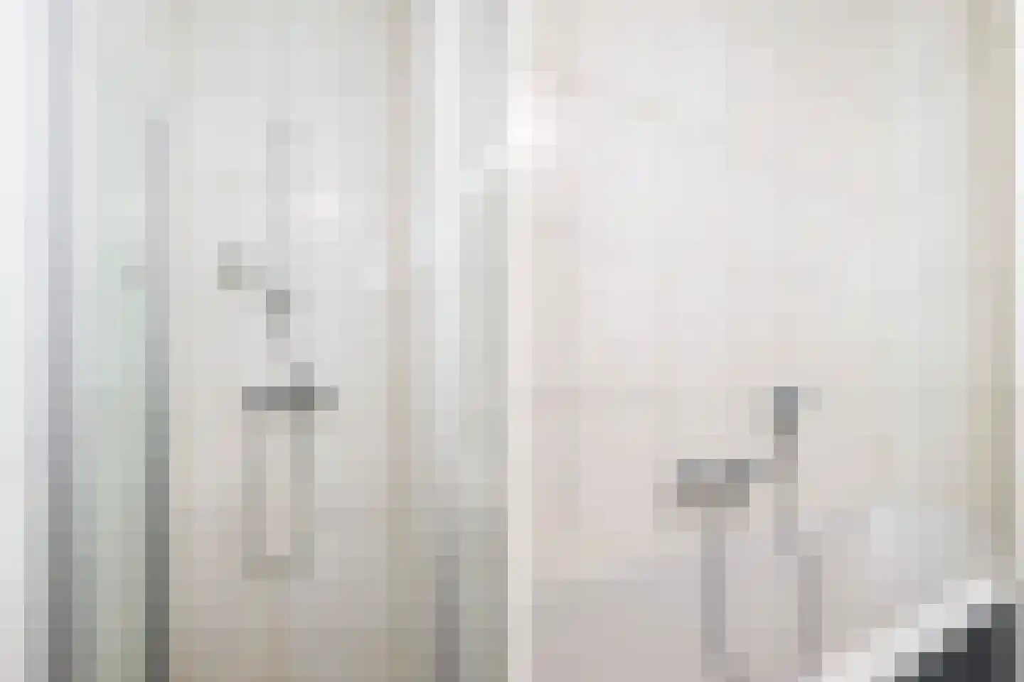 Renes 36 Scherpenzeel thumbnail 27
