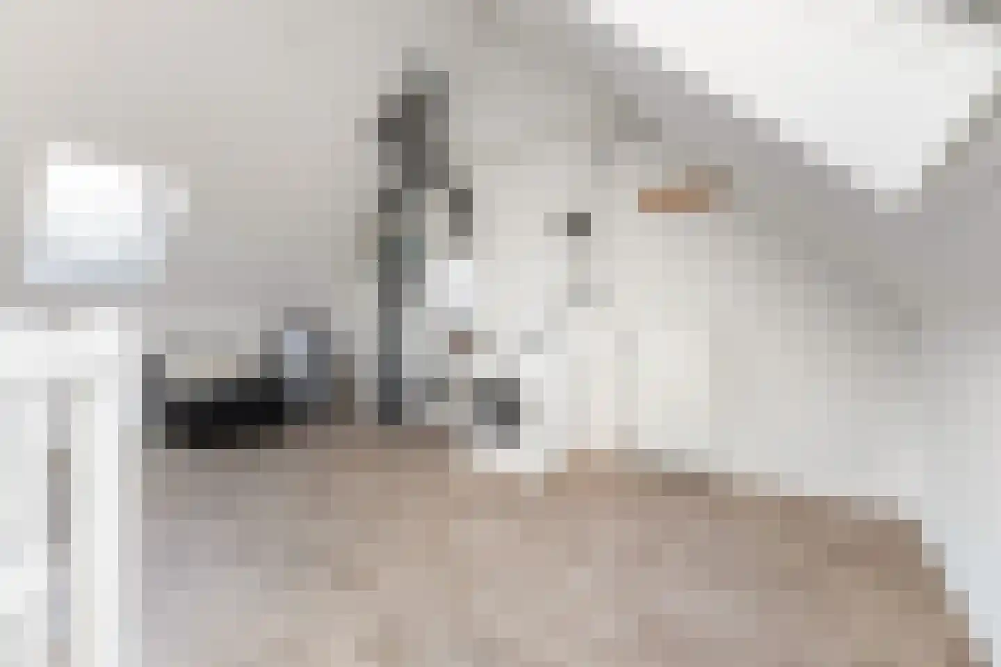 Renes 36 Scherpenzeel thumbnail 28