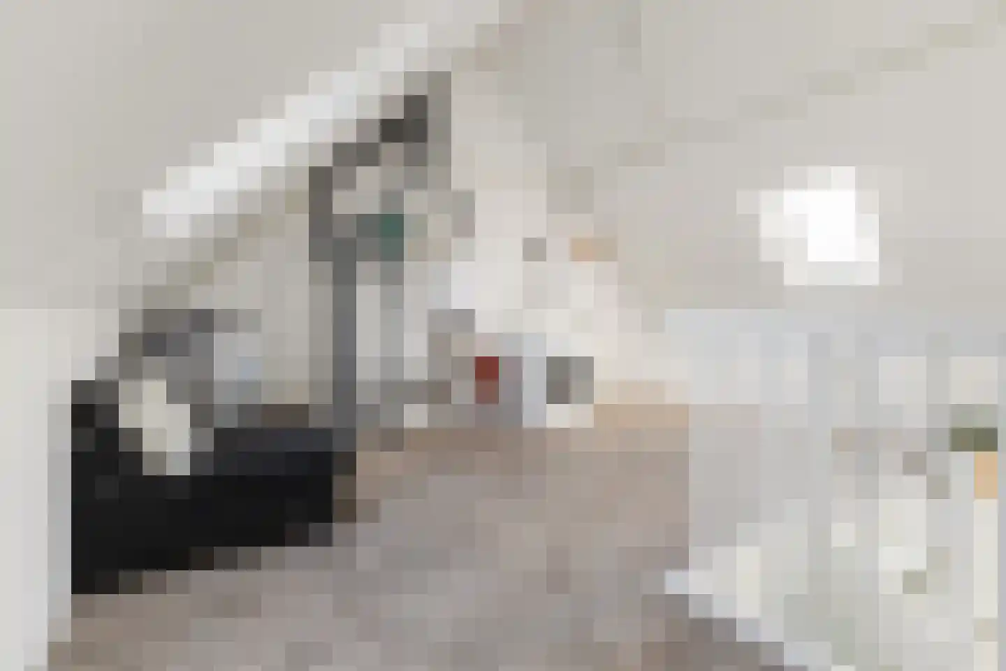 Renes 36 Scherpenzeel thumbnail 29