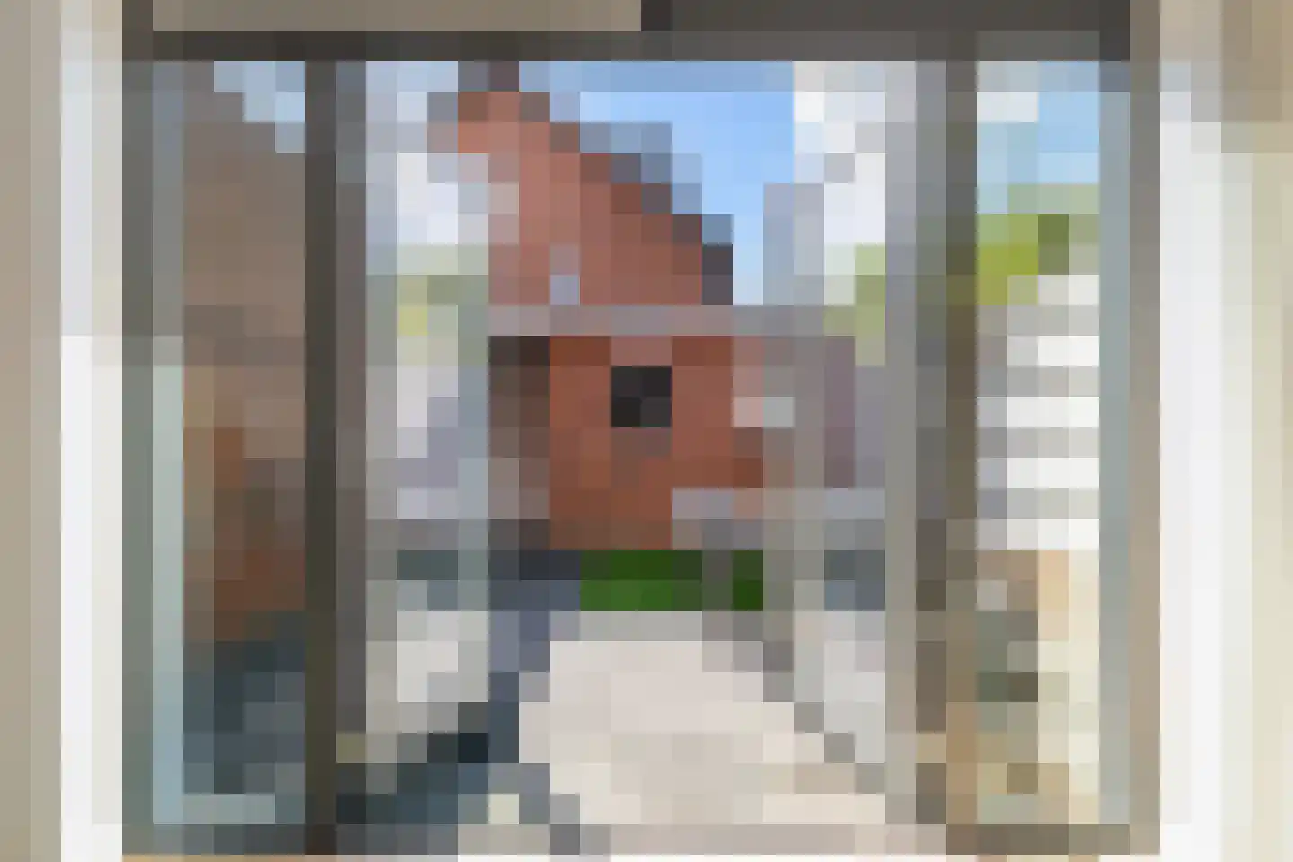 Renes 36 Scherpenzeel thumbnail 30