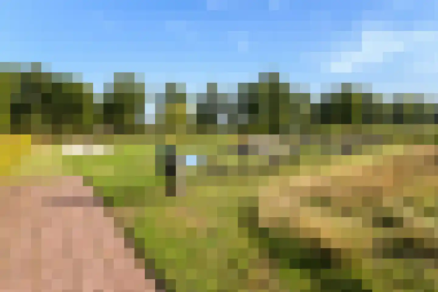 Renes 36 Scherpenzeel thumbnail 34