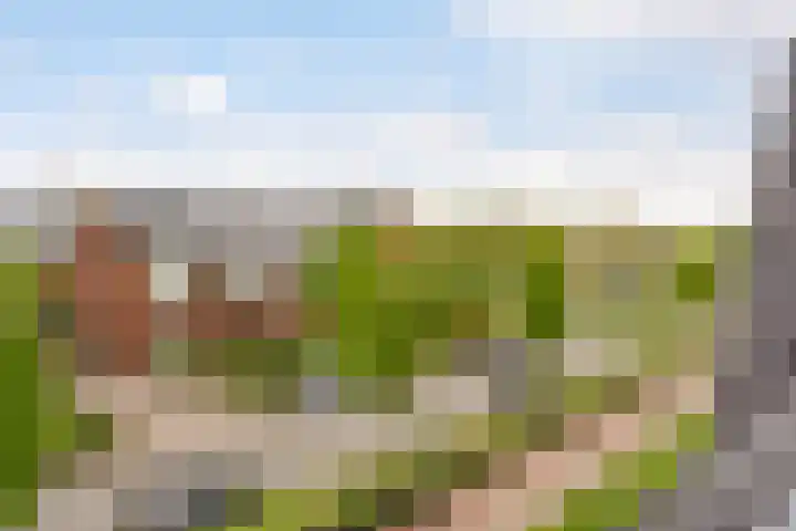 Renes 67 Scherpenzeel thumbnail 10