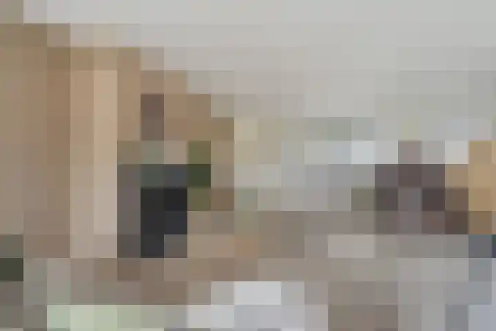 Renes 67 Scherpenzeel thumbnail 12