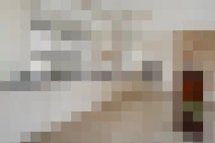 Renes 67 Scherpenzeel thumbnail 13