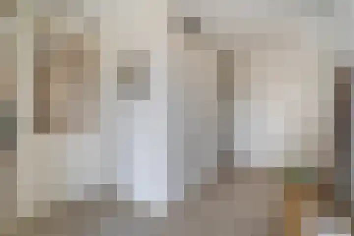 Renes 67 Scherpenzeel thumbnail 15