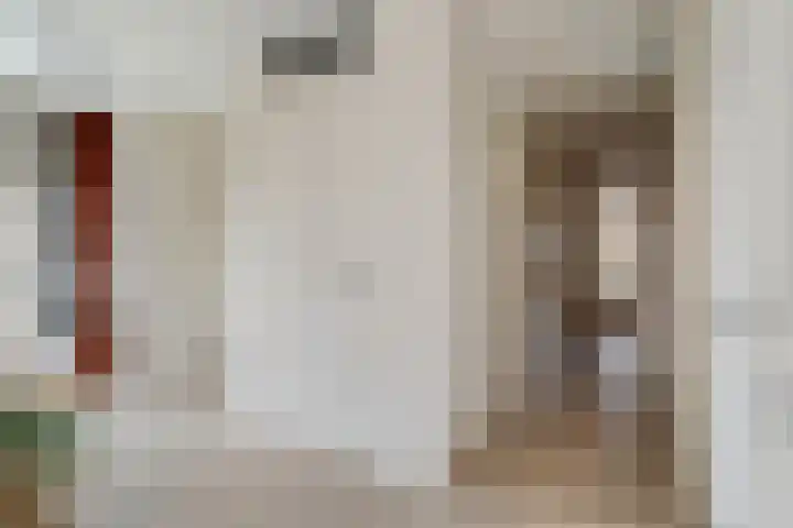 Renes 67 Scherpenzeel thumbnail 16