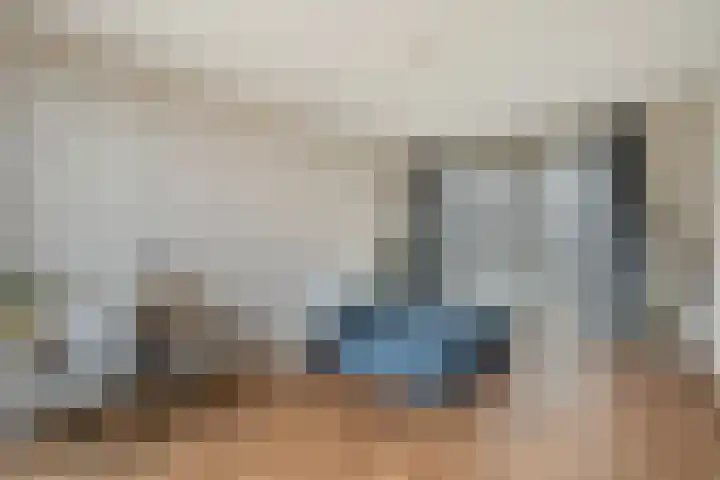 Renes 67 Scherpenzeel thumbnail 18