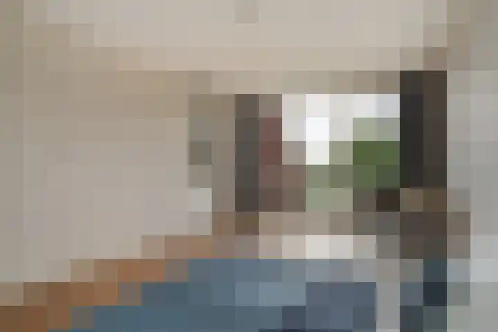 Renes 67 Scherpenzeel thumbnail 20