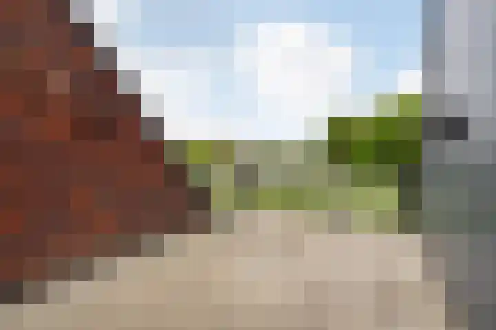Renes 67 Scherpenzeel thumbnail 21