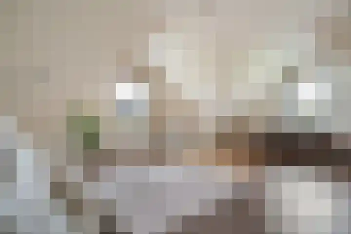 Renes 67 Scherpenzeel thumbnail 24