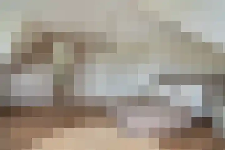 Renes 67 Scherpenzeel thumbnail 26