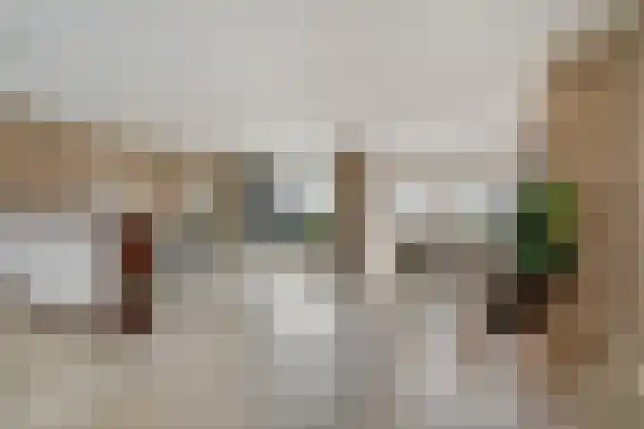 Renes 67 Scherpenzeel foto 3