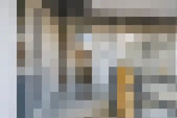 Renes 67 Scherpenzeel thumbnail 31