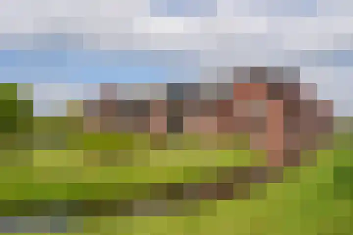 Renes 67 Scherpenzeel thumbnail 36
