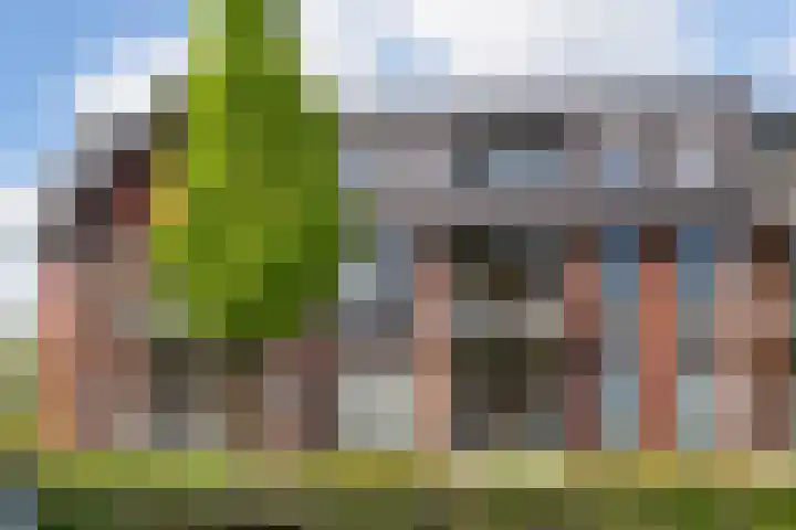 Renes 67 Scherpenzeel thumbnail 37