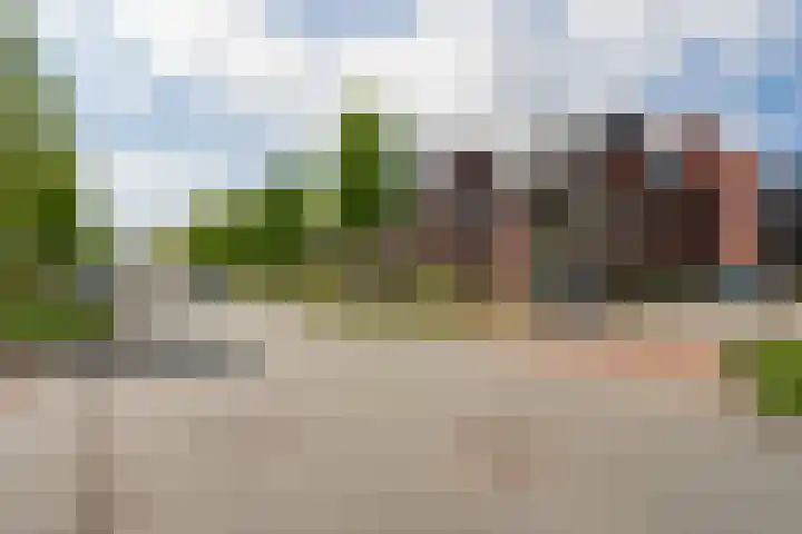 Renes 67 Scherpenzeel thumbnail 39