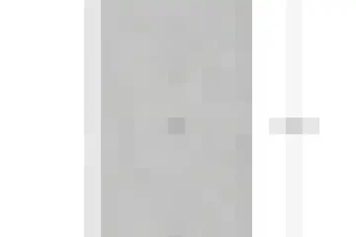 Renes 67 Scherpenzeel thumbnail 41