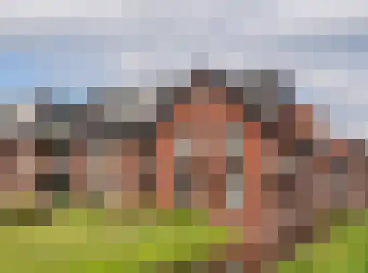 Renes 67 Scherpenzeel thumbnail 43