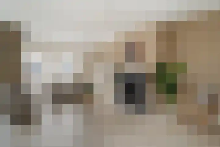 Renes 67 Scherpenzeel thumbnail 5
