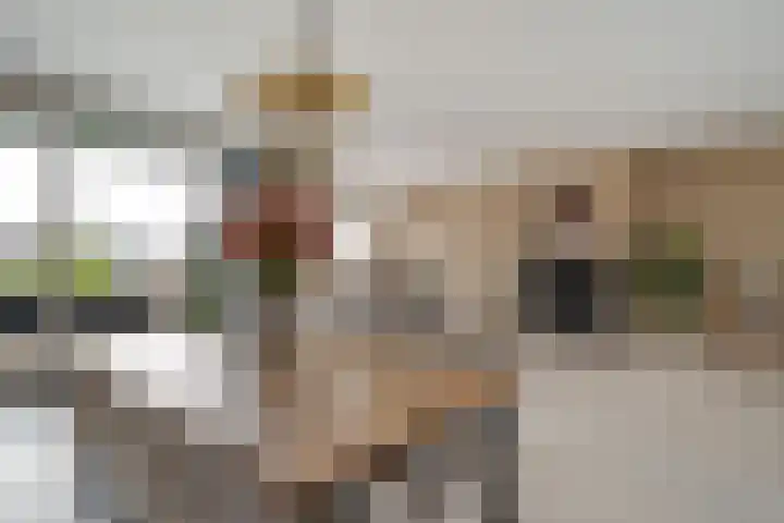 Renes 67 Scherpenzeel thumbnail 8
