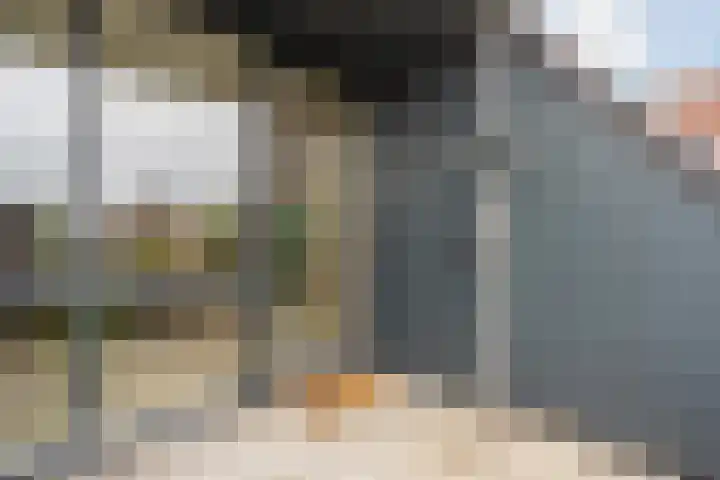Renes 67 Scherpenzeel thumbnail 9