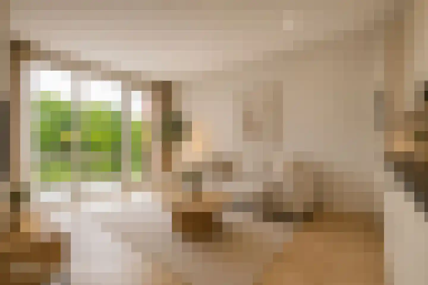 Renes 75 a Scherpenzeel thumbnail 17