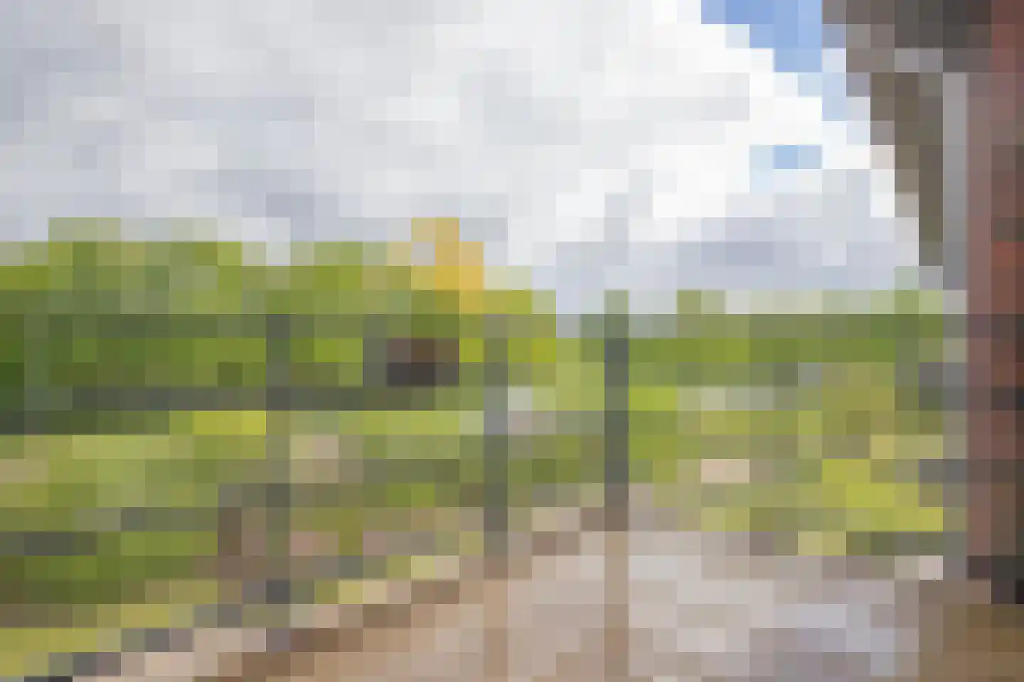 Renes 75 a Scherpenzeel thumbnail 18