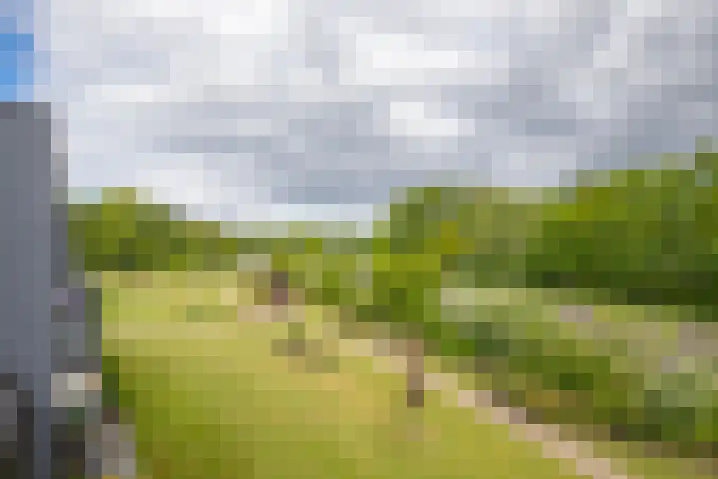 Renes 75 a Scherpenzeel thumbnail 20