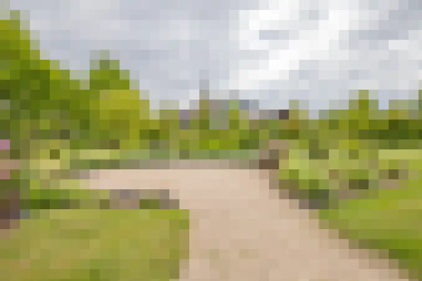 Renes 75 a Scherpenzeel thumbnail 21
