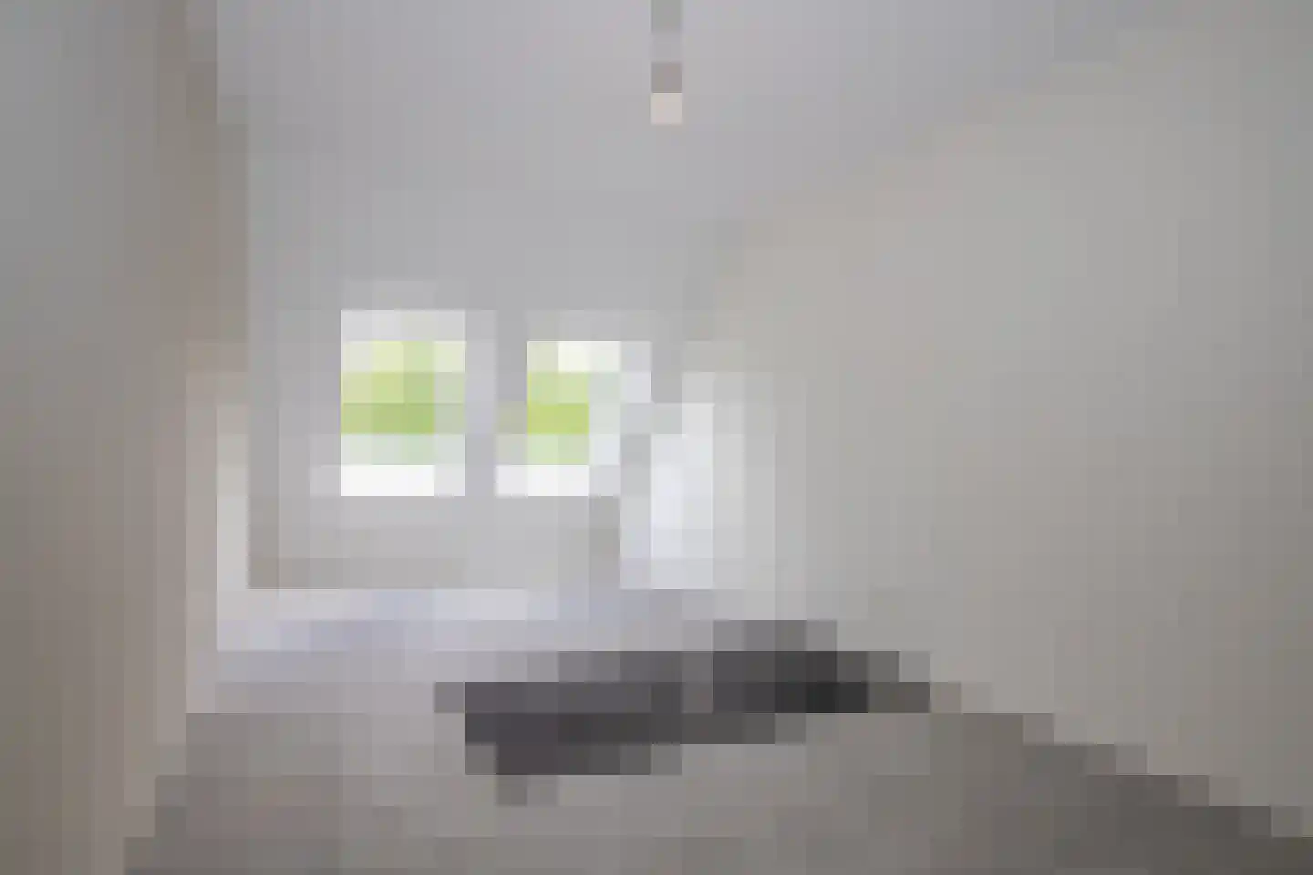 Renes 75 a Scherpenzeel thumbnail 24