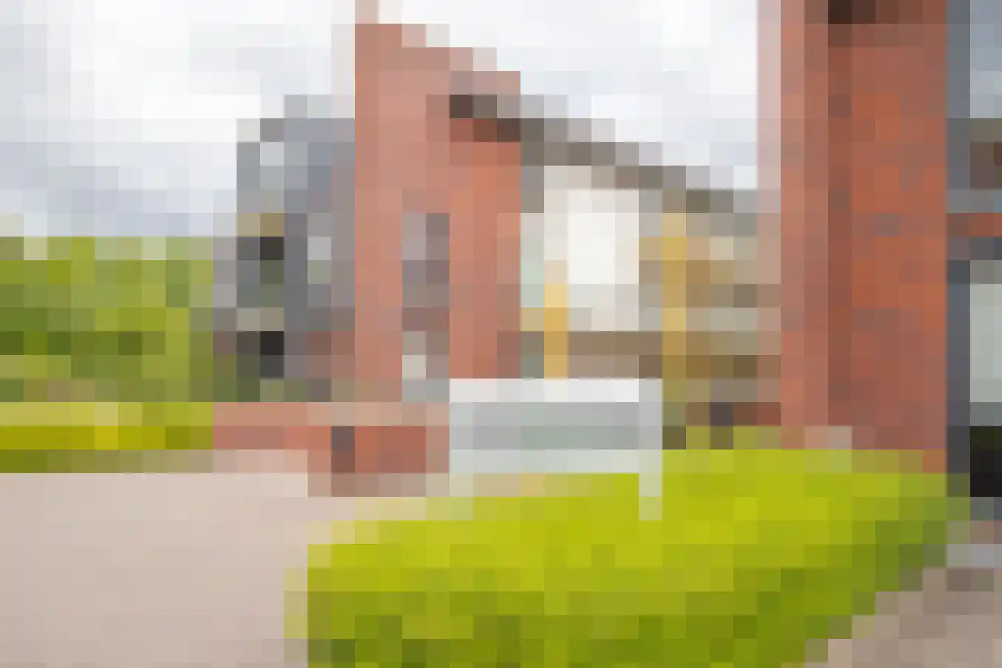 Renes 75 a Scherpenzeel thumbnail 27