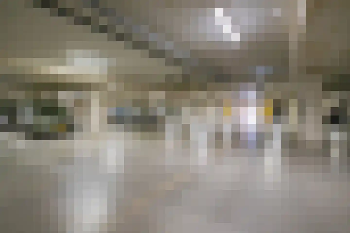 Renes 75 a Scherpenzeel thumbnail 29