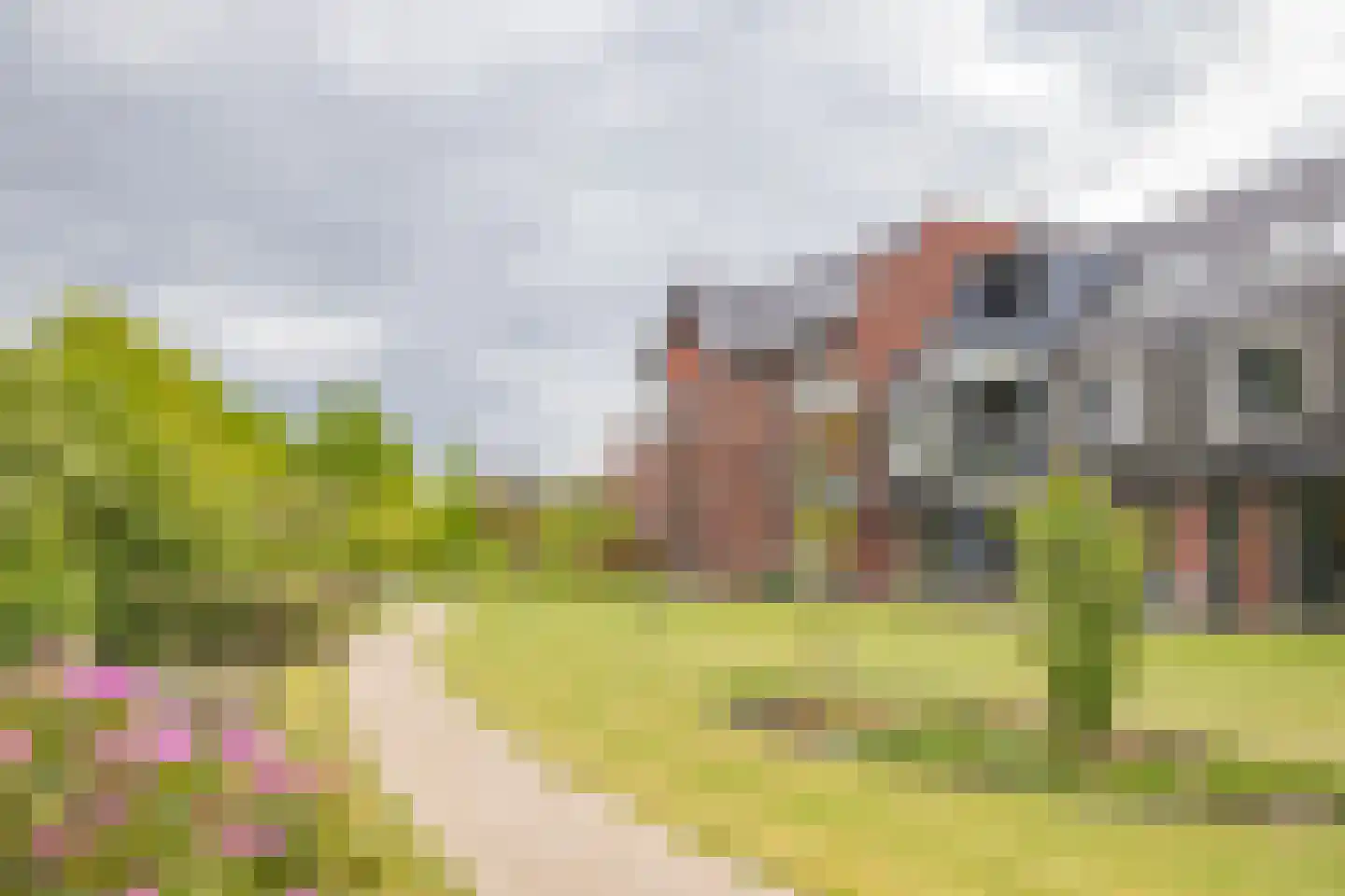 Renes 75 a Scherpenzeel thumbnail 30