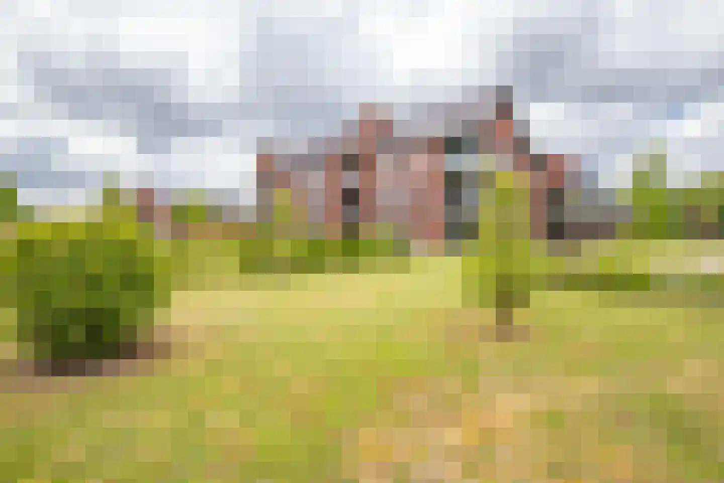 Renes 75 a Scherpenzeel thumbnail 33