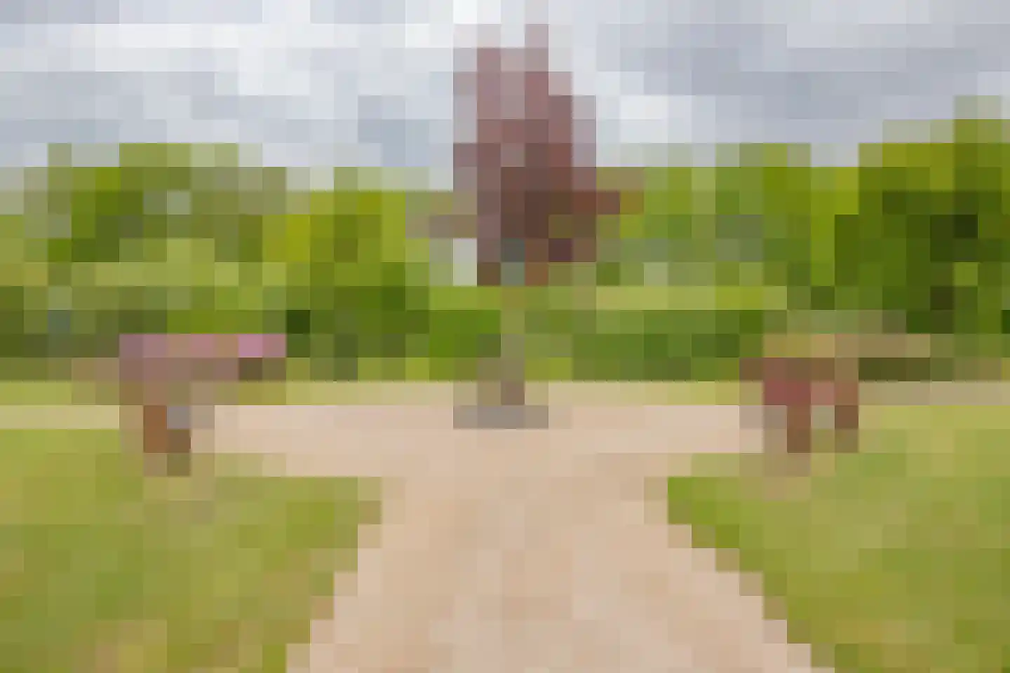 Renes 75 a Scherpenzeel thumbnail 35