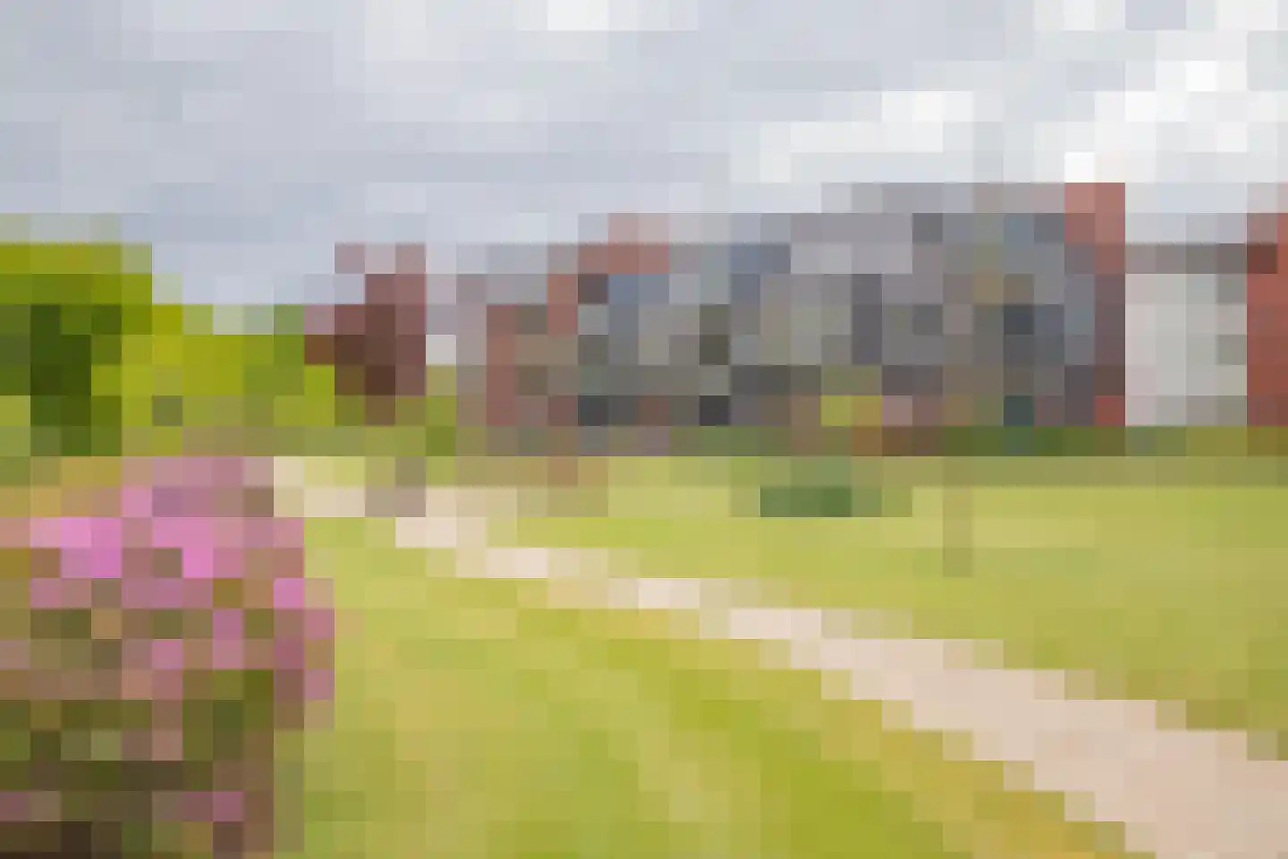 Renes 75 a Scherpenzeel thumbnail 36