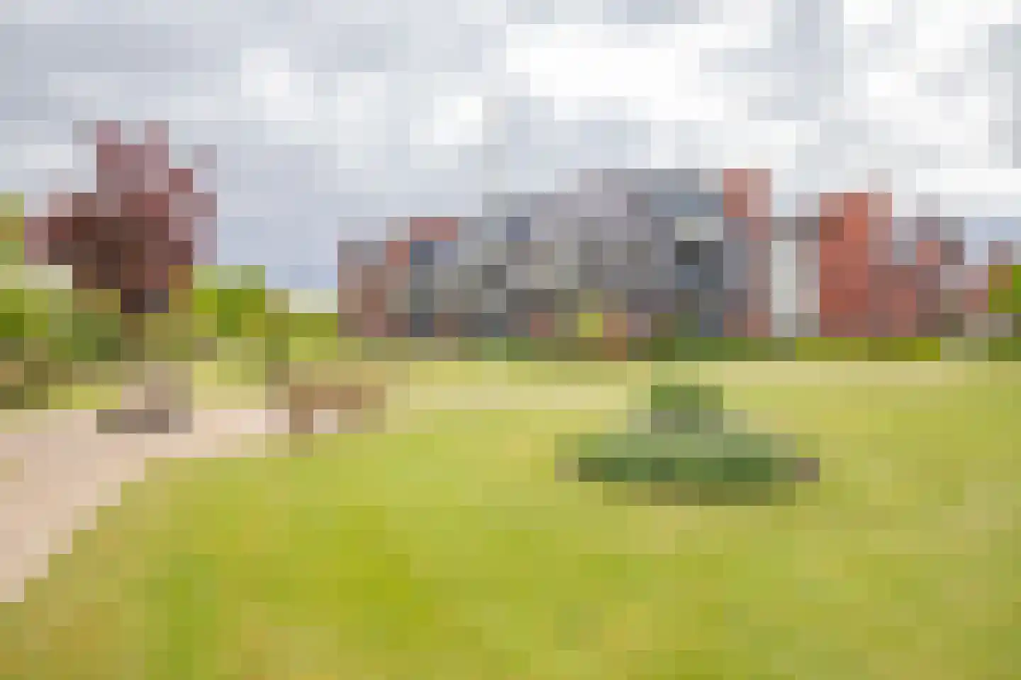 Renes 75 a Scherpenzeel thumbnail 37