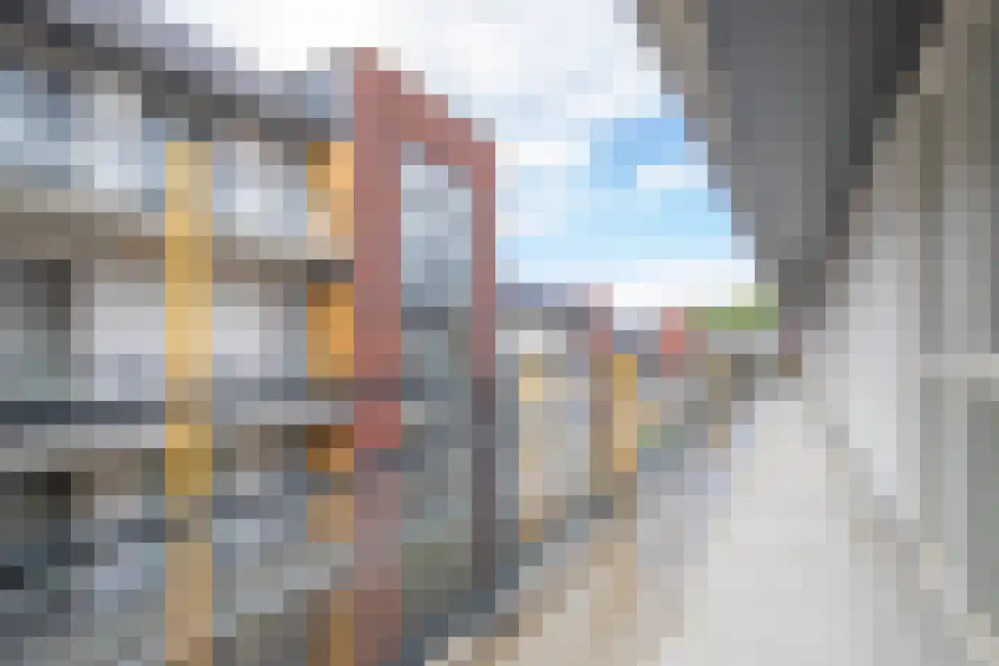 Renes 75 a Scherpenzeel thumbnail 6
