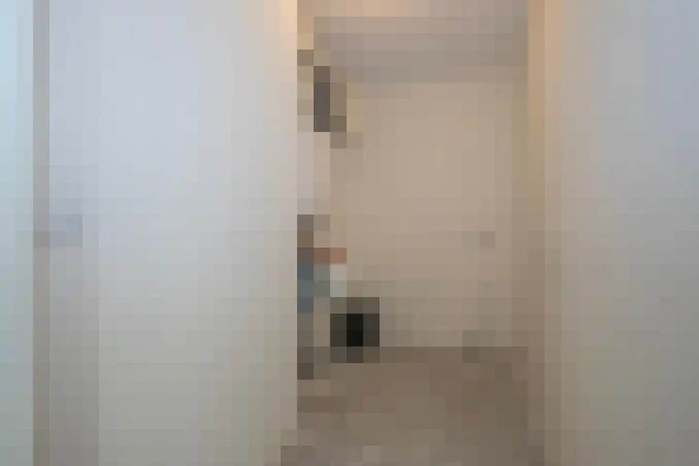 Renes 75 a Scherpenzeel thumbnail 9