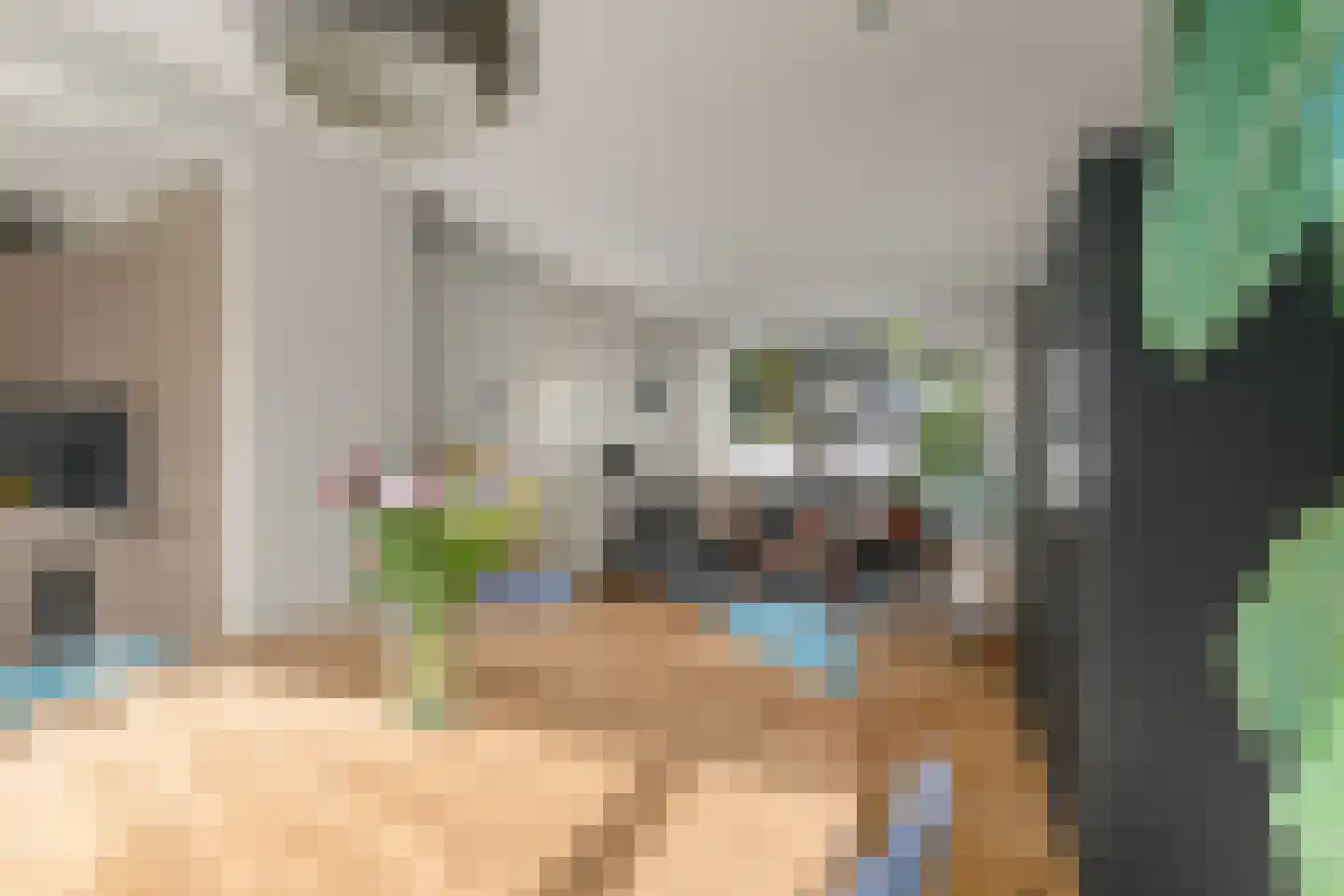 Renesselaan 10 De Meern thumbnail 10