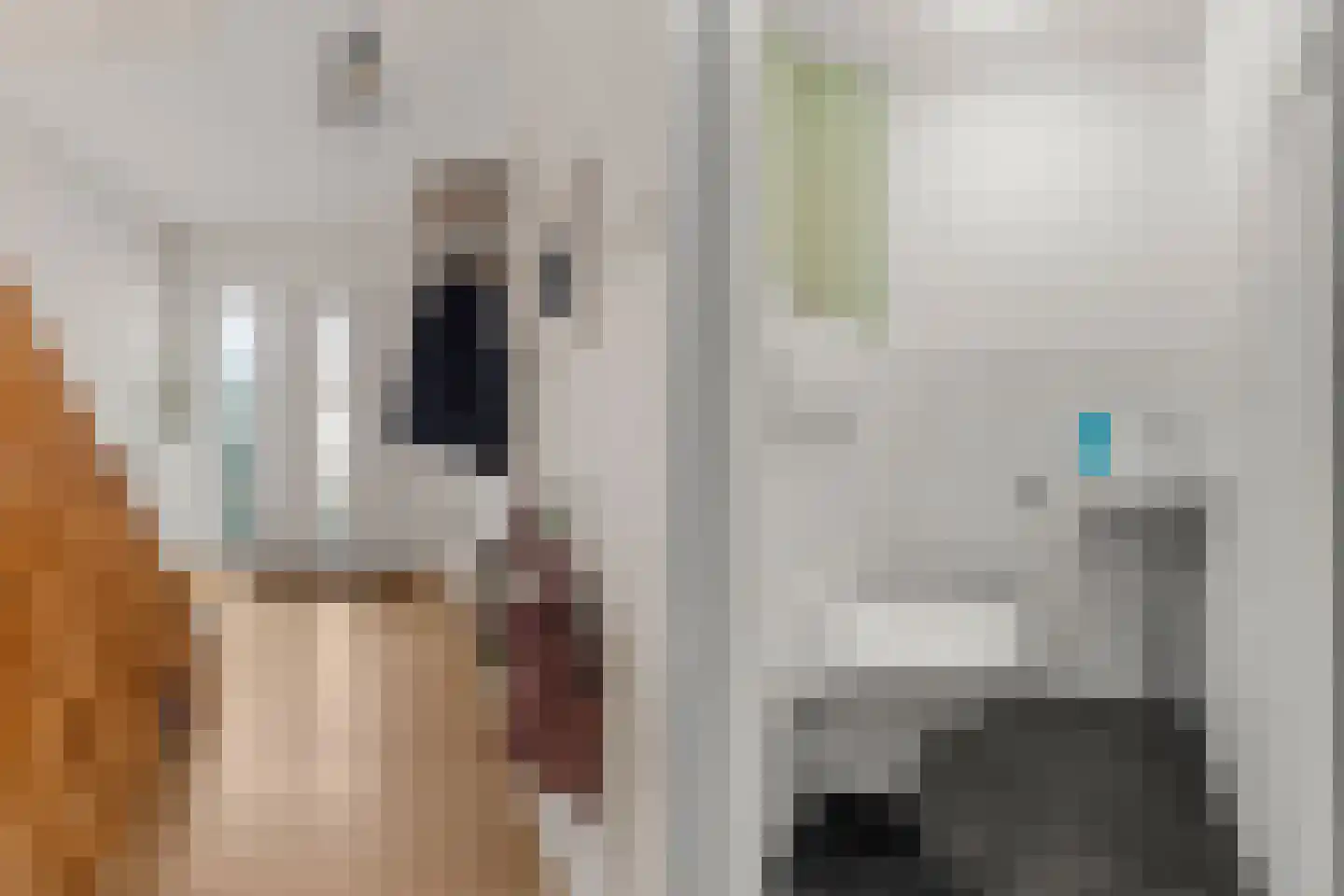 Renesselaan 10 De Meern thumbnail 14