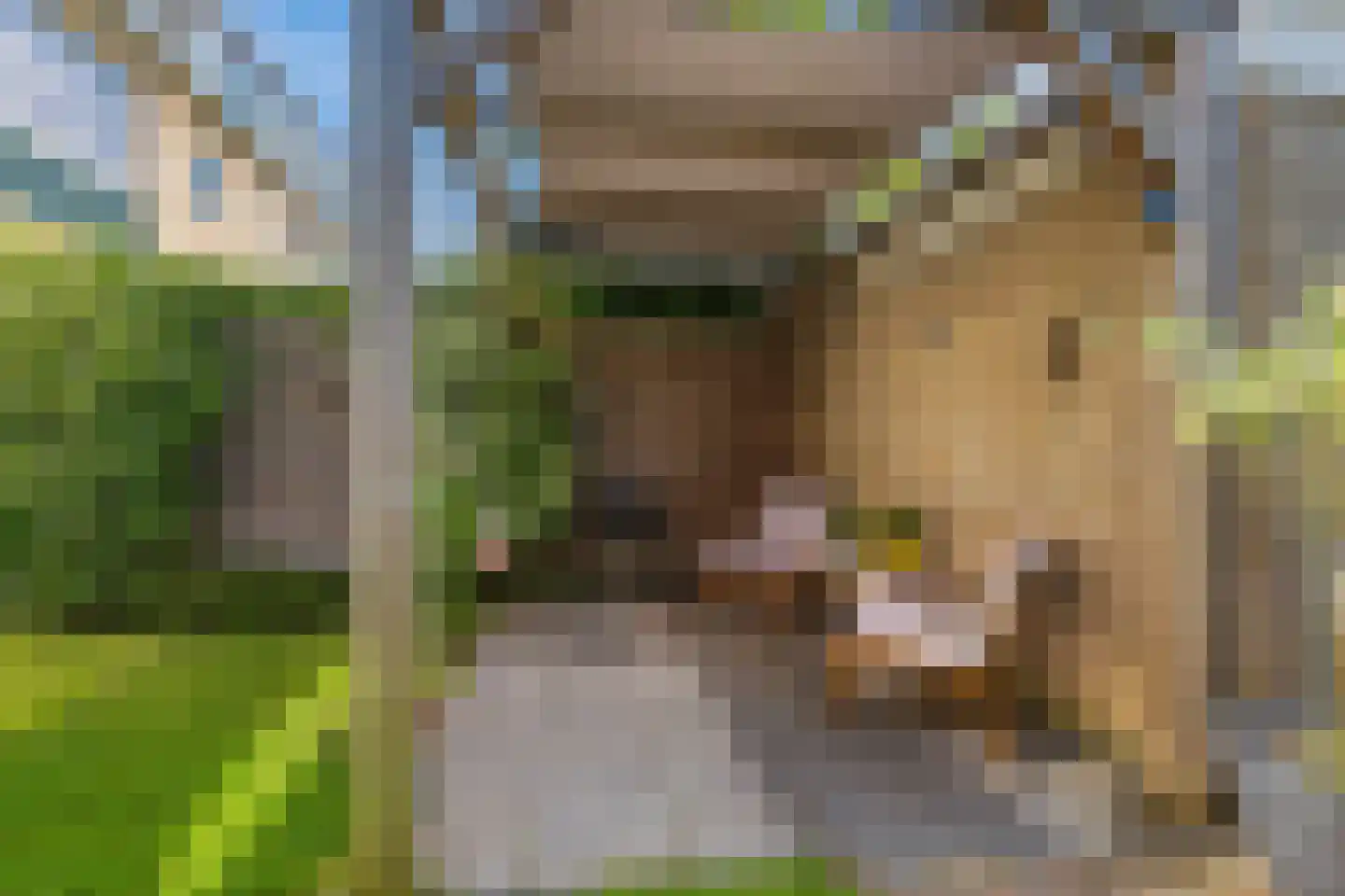 Renesselaan 10 De Meern thumbnail 29