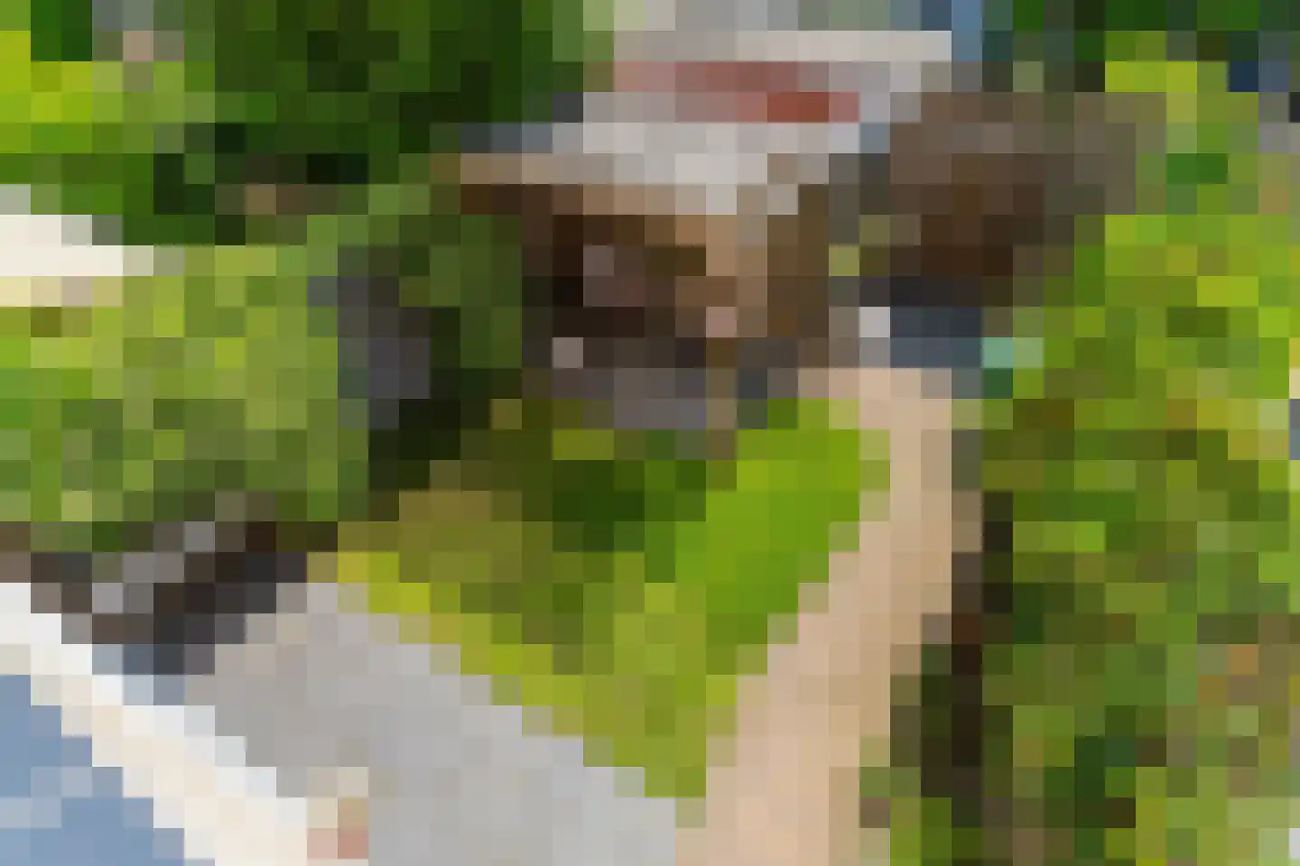 Renesselaan 10 De Meern thumbnail 30