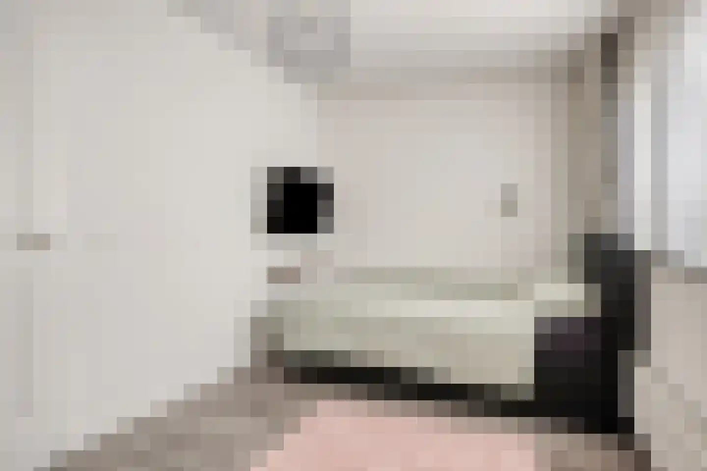 Renesselaan 130 Tilburg thumbnail 12