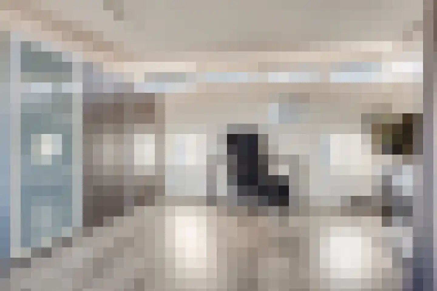 Renesselaan 130 Tilburg thumbnail 17
