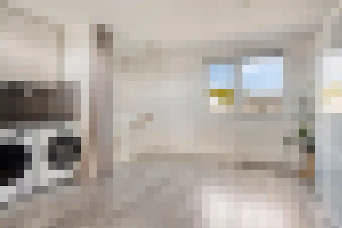 Renesselaan 130 Tilburg thumbnail 18