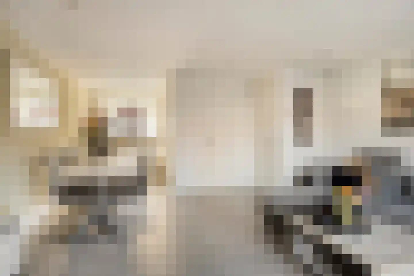 Renesselaan 130 Tilburg thumbnail 5